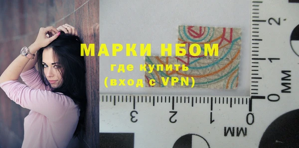 2c-b Ельня