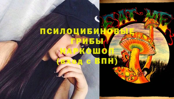 амф Елабуга