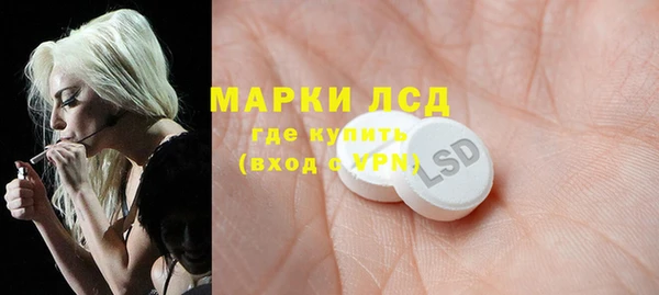 2c-b Ельня