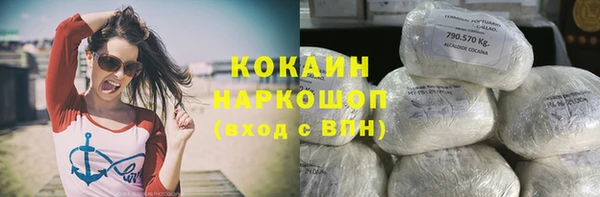 mdpv Елизово