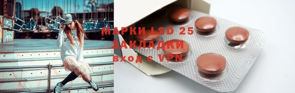 индика Дмитров