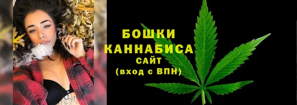 амф Елабуга