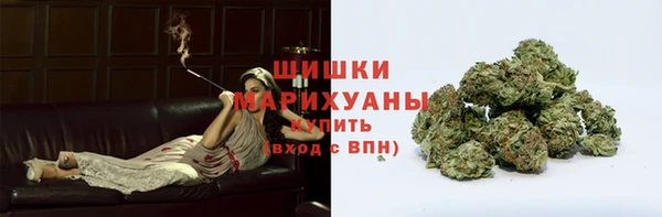 амф Елабуга