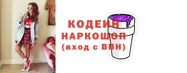 2c-b Ельня