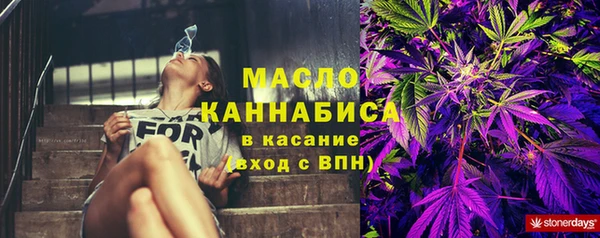 амф Елабуга