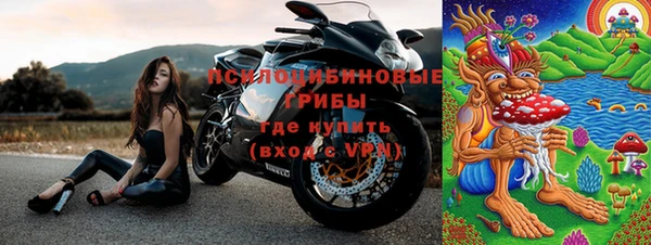 амф Елабуга