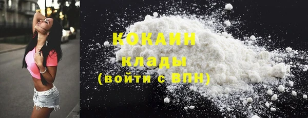 2c-b Ельня