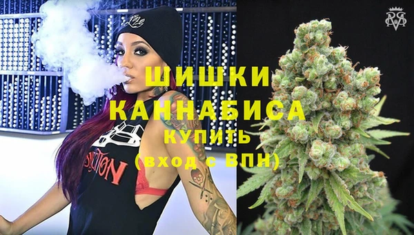 mdpv Елизово
