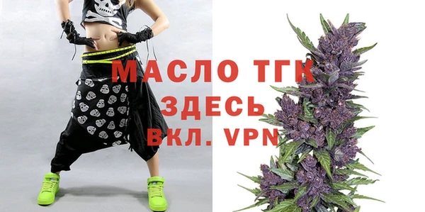 2c-b Ельня