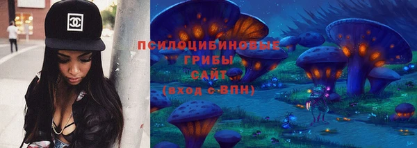 2c-b Ельня