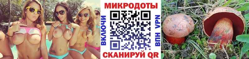 Псилоцибиновые грибы MAGIC MUSHROOMS  Купить где  Кирс 
